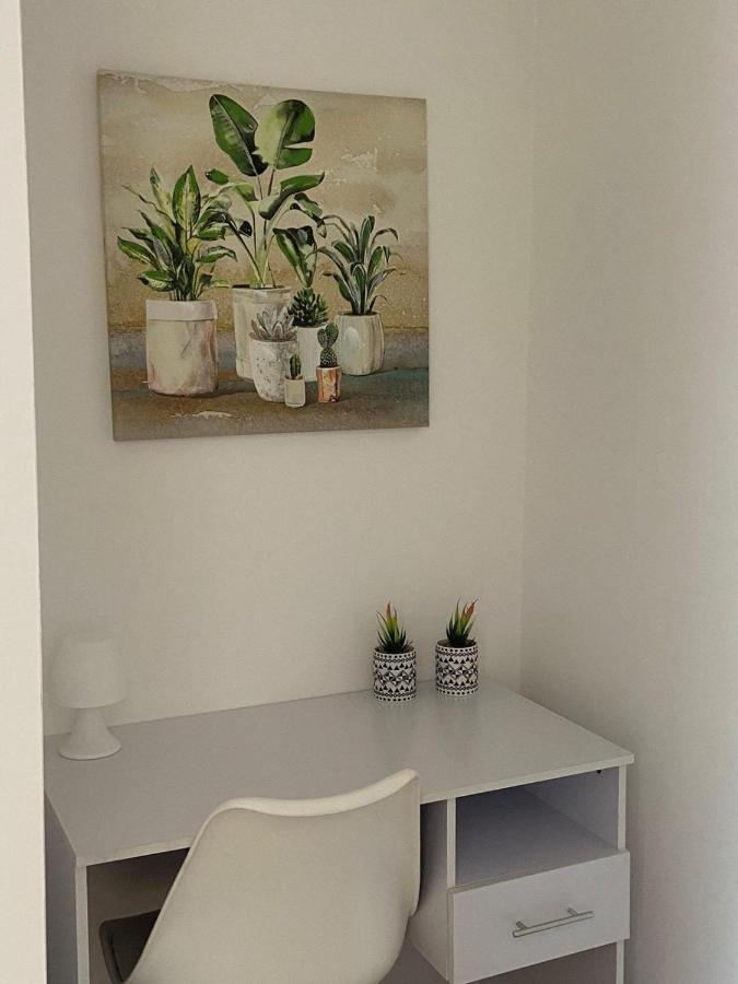Marina di CerveteriDream House Cerenova公寓 外观 照片